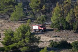 Πολύ υψηλός κίνδυνος πυρκαγιάς σήμερα σε Αττική, Εύβοια, Κρήτη και Αιγαίο