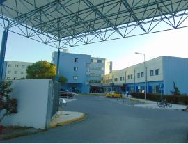 Πιερία: Στη ΜΕΘ παραμένει η 61χρονη τουρίστρια που της επιτέθηκαν αδέσποτα