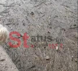 Θερμαϊκός σε άθλια κατάσταση: Εικόνες ντροπής στο παραλιακό μέτωπο της Θεσσαλονίκης