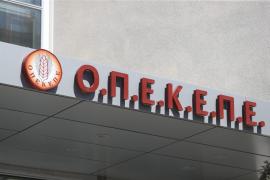 Δίκη ΟΠΕΚΕΠΕ: Επιστροφή χρημάτων και μειωμένες ποινές σε κατηγορούμενους που ζήτησαν ποινική διαπραγμάτευση
