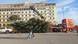 Μύρισε Χριστούγεννα στη Θεσσαλονίκη: Στην πλατεία Αριστοτέλους το 20μετρο έλατο