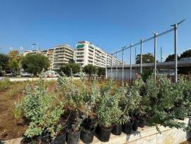 Θεσσαλονίκη: Επτακόσιοι θάμνοι βάζουν χρώμα στην είσοδο της ΔΕΘ