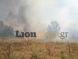 Φωτιά τώρα στην Οινούσσα Σερρών - Ήχησε το 112 για εκκένωση του οικισμού (ΒΙΝΤΕΟ)