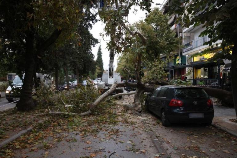 Θεσσαλονίκη: Μικροπροβλήματα από την κακοκαιρία - Πτώσεις δέντρων
