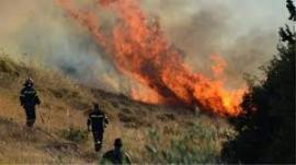 Μεγάλη φωτιά σε δασική έκταση στη Χαλκιδική – Επιχειρούν και εναέρια