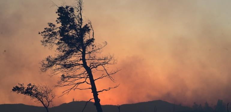 Υψηλός κίνδυνος πυρκαγιάς αύριο σε Θεσσαλονίκη και Χαλκιδική