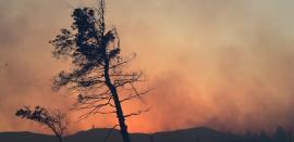 Υψηλός κίνδυνος πυρκαγιάς αύριο σε Θεσσαλονίκη και Χαλκιδική