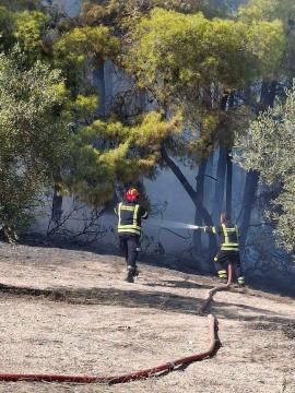 Χαλκιδική: Οριοθετήθηκε η πυρκαγιά στην Ελάνη - Ήχησε το 112 για ετοιμότητα (ΒΙΝΤΕΟ)