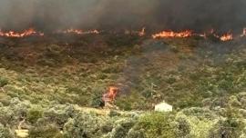 Συνεχίζεται η μάχη με τις φλόγες στην πυρκαγιά στην Εύβοια - Νέα μηνύματα από το 112