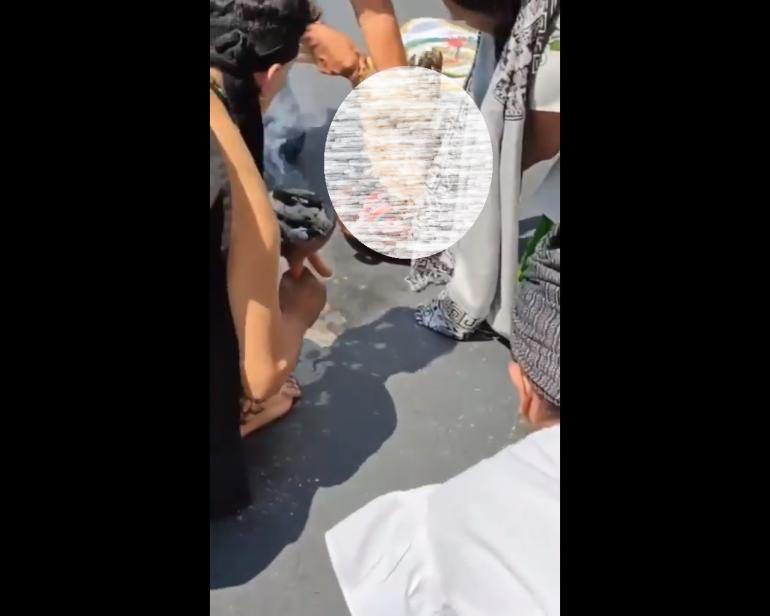 Σάλος στο Μεξικό: Θυσία κότας από αυτόχθονα βουλευτή στη Γερουσία, σε live μετάδοση (VIDEO)