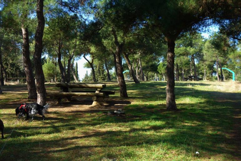 Φωτιές: Λίγο πριν το κόκκινο η Χαλκιδική, στα κίτρινα η Θεσσαλονίκη