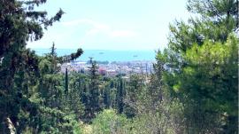 Απαγόρευση κυκλοφορίας για 24 ώρες σε Σέιχ Σου και δάση της Θεσσαλονίκης λόγω υψηλού κινδύνου πυρκαγιάς