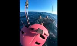 Kite surfer έσωσε τουρίστα με τη 10χρονη του που κινδύνευαν στη θάλασσα της Επανομής (VIDEO)