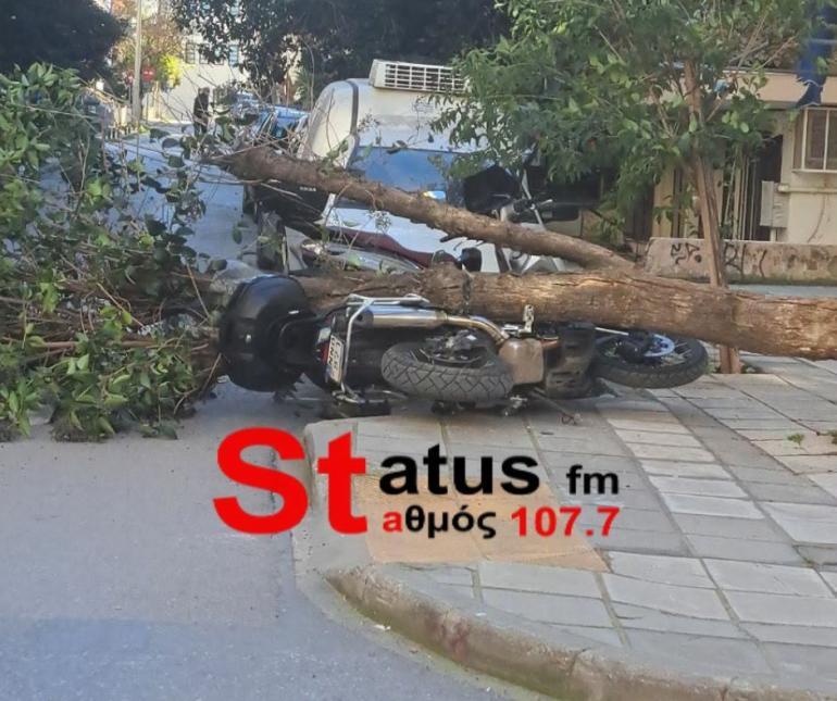 Κεντρική Μακεδονία: 710 κλήσεις στην Πυροσβεστική λόγω θυελλωδών ανέμων