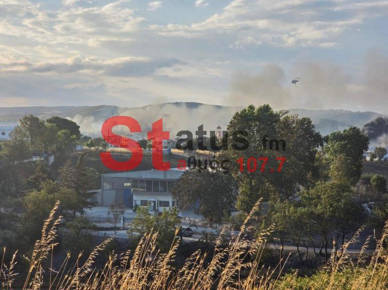 Θεσσαλονίκη: Συνελήφθη ο 76χρονος για τη μεγάλη πυρκαγιά στο Ωραιόκαστρο - Βρισκόταν σε κατάσταση μέθης