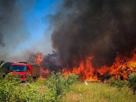 Υψηλός κίνδυνος πυρκαγιάς αύριο σε Θεσσαλονίκη, Χαλκιδική και Άγιο Όρος