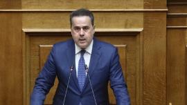 Παπασταύρου: Έχουμε πρωταγωνιστικό ρόλο στα ενεργειακά στη Μεσόγειο, αναβαθμίζεται γεωστρατηγικά η χώρα