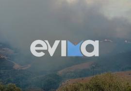 Φωτιά στην Κάρυστο: Εκκενώνεται το χωριό Αμυγδαλιά - Απειλούνται σπίτια και στάβλοι