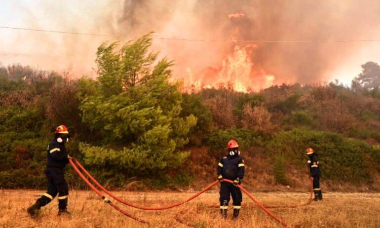 Πυρκαγιά σε αγροτοδασική έκταση στα Πετράλωνα Μεσσηνίας