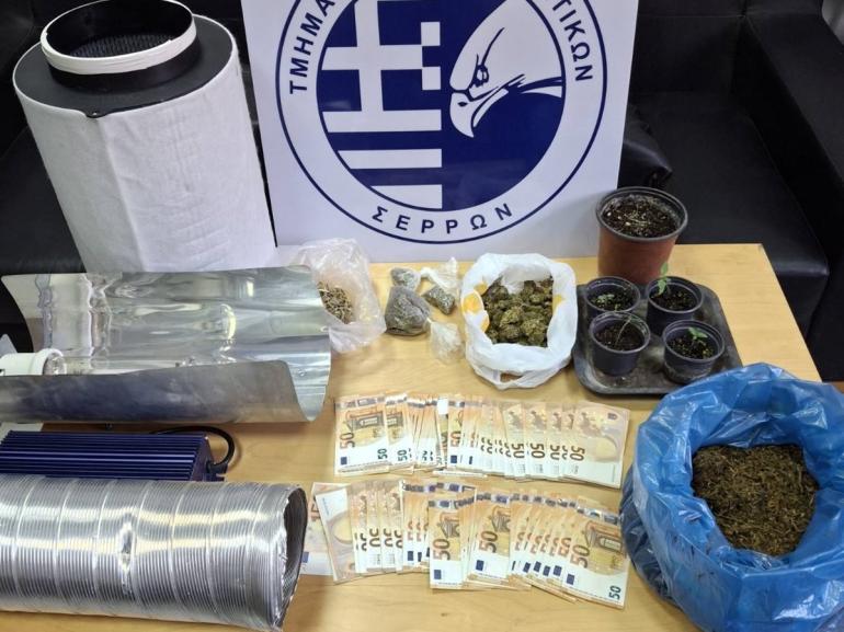 Θεσσαλονίκη: Αστυνομικός σκύλος εντόπισε μίνι εργαστήριο καλλιέργειας κάνναβης σε υπόγειο (VIDEO)