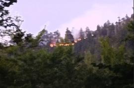 Φωτιά στα Γρεβενά στον εθνικό δρυμό της Βάλια Κάλντα