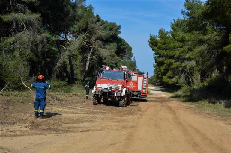 Χωρίς ενεργό μέτωπο η φωτιά σε δασική έκταση στο Ελαιοχώρι Καβάλας, εστάλη 112 για ενημέρωση