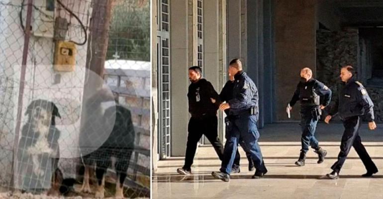 Νεοχωρούδα: Στον ανακριτή σήμερα ο 37χρονος -  Θεσσαλονίκη: Ελεύθερα χωρίς κανένα μέτρο κυκλοφορούσαν τα σκυλιά που κατασπάραξαν την 50χρονη
