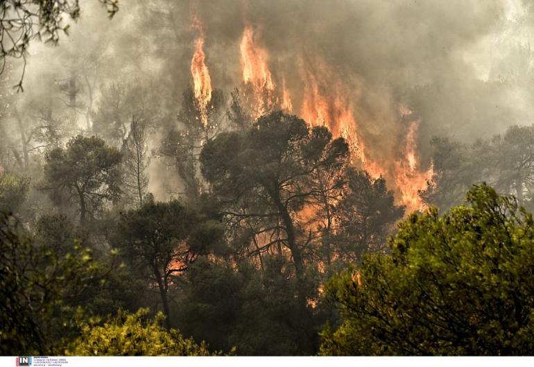 Καλύτερη η εικόνα της φωτιάς στην Ροδόπη, στην περιοχή Μικρό Πιστό