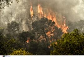 Καλύτερη η εικόνα της φωτιάς στην Ροδόπη, στην περιοχή Μικρό Πιστό