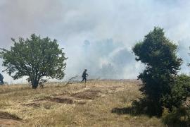Κοζάνη: Βαριά “καμπάνα” και ποινή φυλάκισης 10 μηνών με αναστολή στον 75χρονο για τη φωτιά στο Δρέπανο