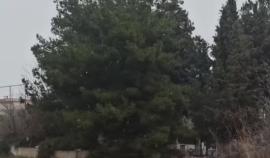 Χιονίζει ξανά στα προάστια της Θεσσαλονίκης - Δείτε βίντεο