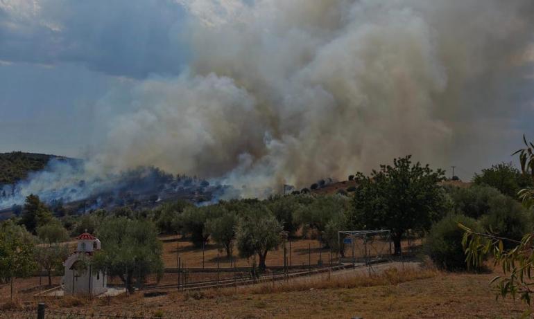 Φωτιά στο Συκάμινο Ωρωπού: Ήχησε το 112 - Ρίψεις νερού από αεροσκάφη και ελικόπτερα