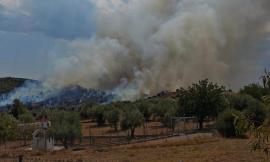 Φωτιά στο Συκάμινο Ωρωπού: Ήχησε το 112 - Ρίψεις νερού από αεροσκάφη και ελικόπτερα