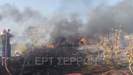 Σέρρες: Νεκρός 75χρονος σε φωτιά στο Παραλίμνιο
