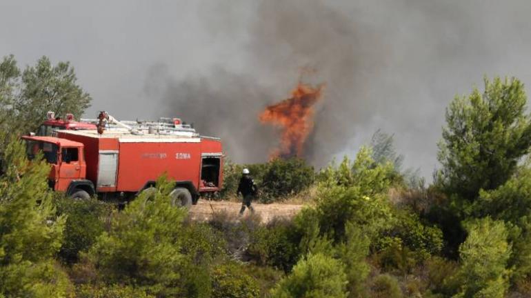 Φωτιά στην Άνω Επίδαυρο - Ισχυρές δυνάμεις της Πυροσβεστικής