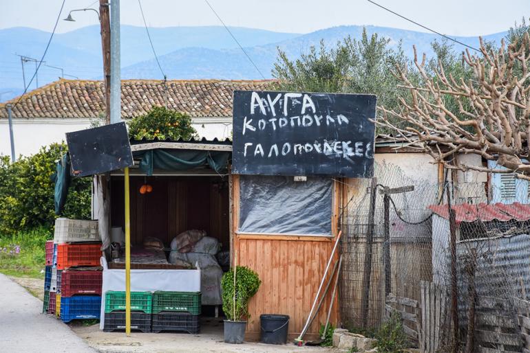 Ναύπλιο: Ληστής έπεσε νεκρός μετά από συμπλοκή με 72χρονη