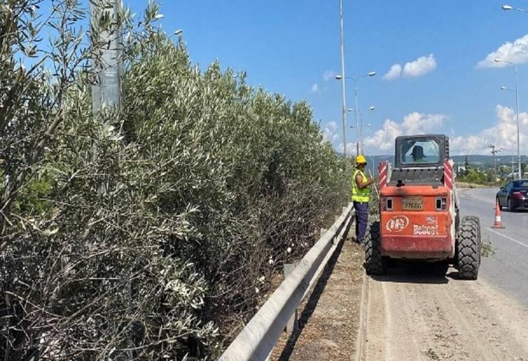 ΠΚΜ: Εργασίες κλάδευσης δέντρων και σήμερα στην 27η Επαρχιακή Οδό Θεσσαλονίκης – Μηχανιώνας