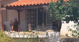 Μαραθώνας: Είχε θαμμένη τη μητέρα της στην αυλή του σπιτιού για να παίρνει τη σύνταξη - Πώς αποκαλύφθηκε η υπόθεση