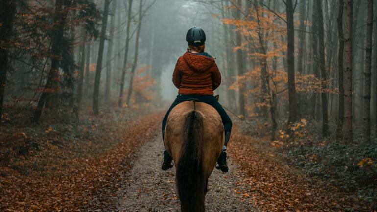 Ημαθία: Μαθήτριες έπεσαν θύματα σεξουαλικής επίθεσης από ιδιοκτήτη στάβλου ενώ έκαναν ιππασία σε σχολική εκδρομή