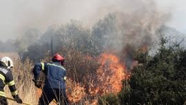 Συναγερμός για φωτιά σε δασική έκταση της Ροδόπης