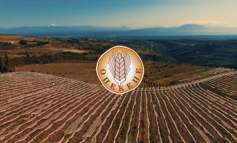 Υπόθεση ΟΠΕΚΕΠΕ: Ξεκινούν οι έλεγχοι για τις επιδοτήσεις από την Αρχή για το Ξέπλυμα Μαύρου Χρήματος
