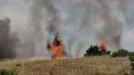 Απαγόρευση κυκλοφορίας από αύριο σε δασικές περιοχές της Χαλκιδικής λόγω αυξημένου κινδύνου πυρκαγιάς