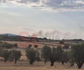 ΤΩΡΑ: Φωτιά στον Δήμο Θέρμης