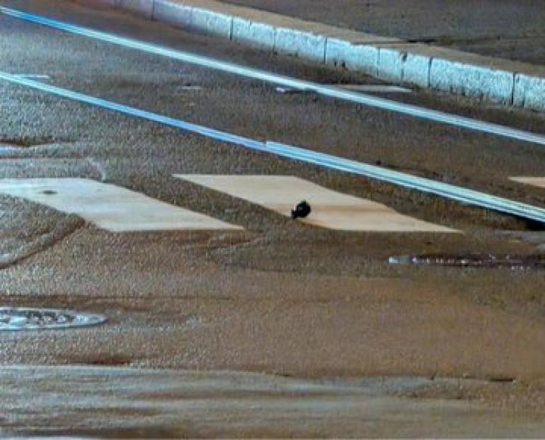 Όσλο: Συνελήφθη 13χρονος για έκρηξη χειρομβοβίδας