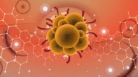 Mpox: Ο ΠΟΥ συστήνει έναρξη προγραμμάτων εμβολιασμού στις πληγείσες περιοχές