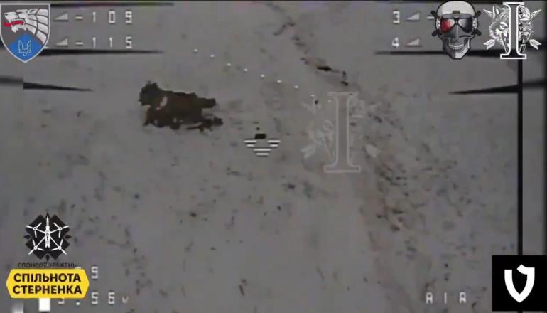 Εξόντωση Βορειοκορεατών στρατιωτών στο Κουρσκ - Κίεβο: «Σκοτώσαμε 77 σε 3 μέρες»