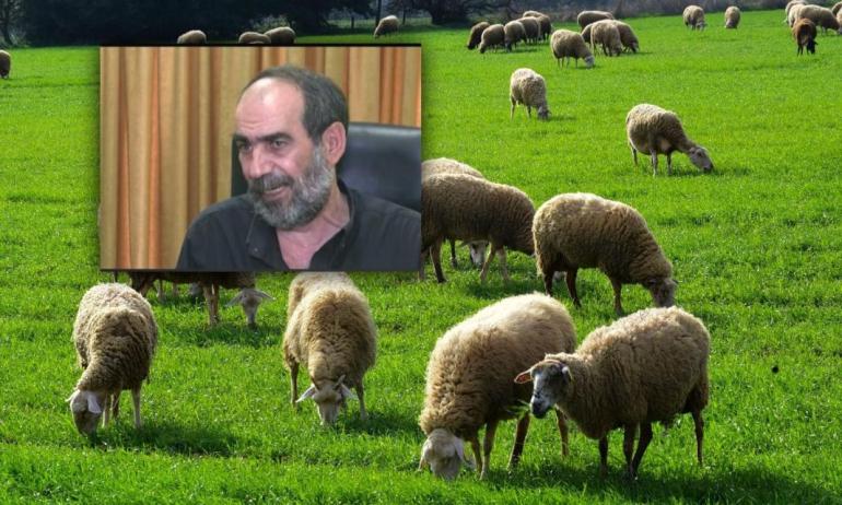 ΟΠΕΚΕΠΕ: Αδικαιολόγητη περιουσία 2,5 εκατ. για τον «Φραπέ» – Επτά ΙΧ και μια Jaguar από το 2021 έως το 2023