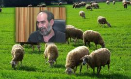 ΟΠΕΚΕΠΕ: Αδικαιολόγητη περιουσία 2,5 εκατ. για τον «Φραπέ» – Επτά ΙΧ και μια Jaguar από το 2021 έως το 2023