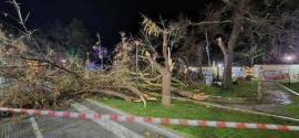 Ξεκίνησε η δήλωση ζημιών στον Δήμο Αλεξανδρούπολης από τον ανεμοστρόβιλο που «χτύπησε» το παραλιακό μέτωπο