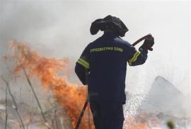 Υψηλός κίνδυνος πυρκαγιάς σήμερα σε Θεσσαλονίκη, Χαλκιδική και Κιλκίς
